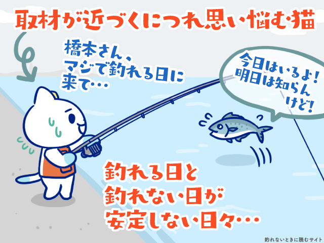 釣りをしながらもやもや考える釣れない猫