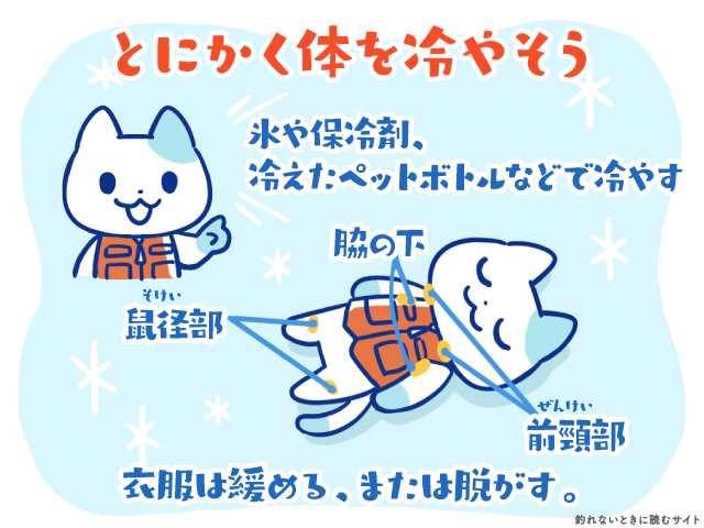 氷や保冷剤、冷たいペットボトルで体を冷やす
