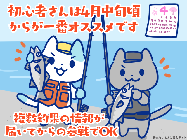 岸和田一文字のバチ抜けシーバスは複数釣果の情報が出てからの参戦でOK