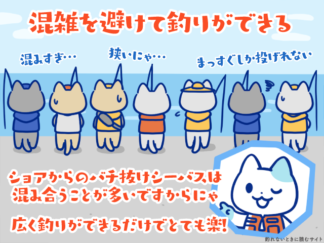 ショアからのバチ抜けシーバスは混み合うことが多い