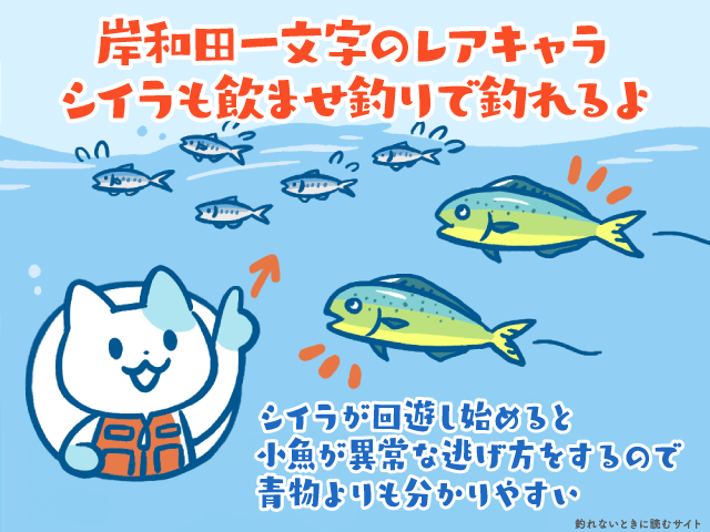 岸和田一文字ではレアなシイラも飲ませ釣りで釣れる