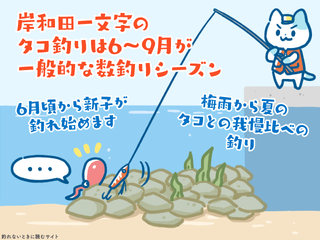岸和田一文字のタコ釣りシーズンは6～9月