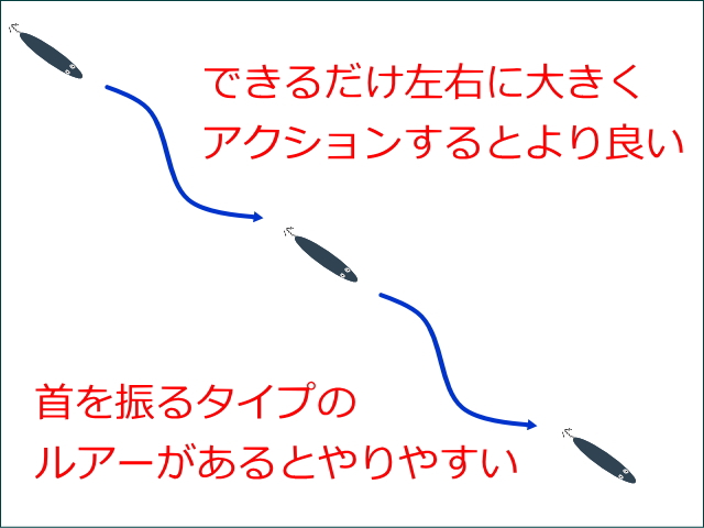 誘い出しのアクション-ウォーキングやS字アクション