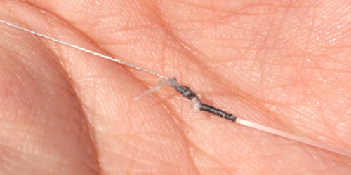 ノーネームノットでの結び目