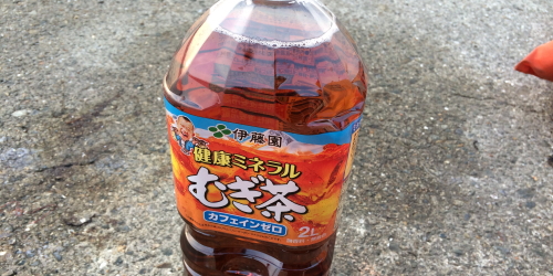 夏の釣りは水分が大事