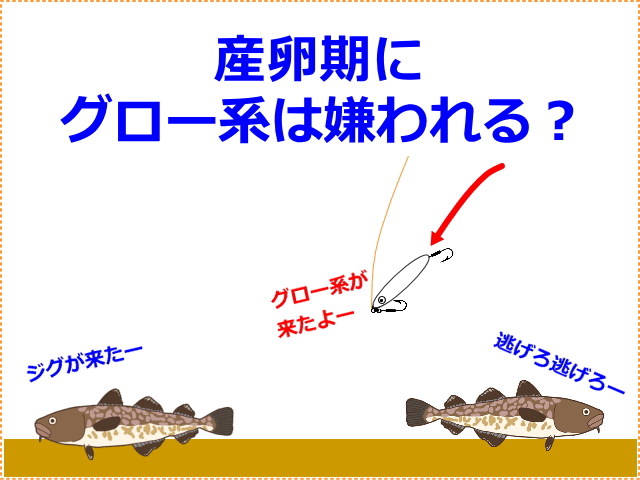 イワシカラーとアカキン